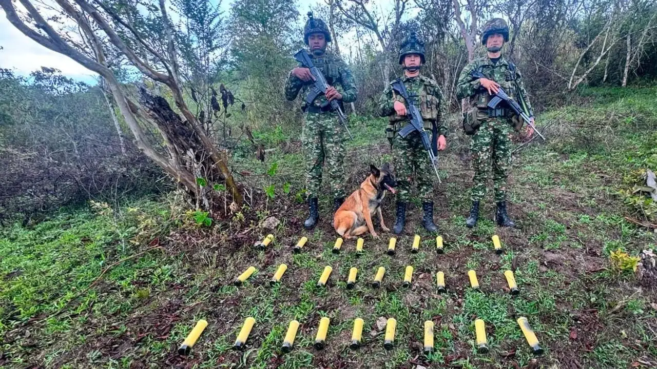 Granadas artesanales localizadas en El Peñol, Nariño, junto a tres soldados y un perro de rastreo