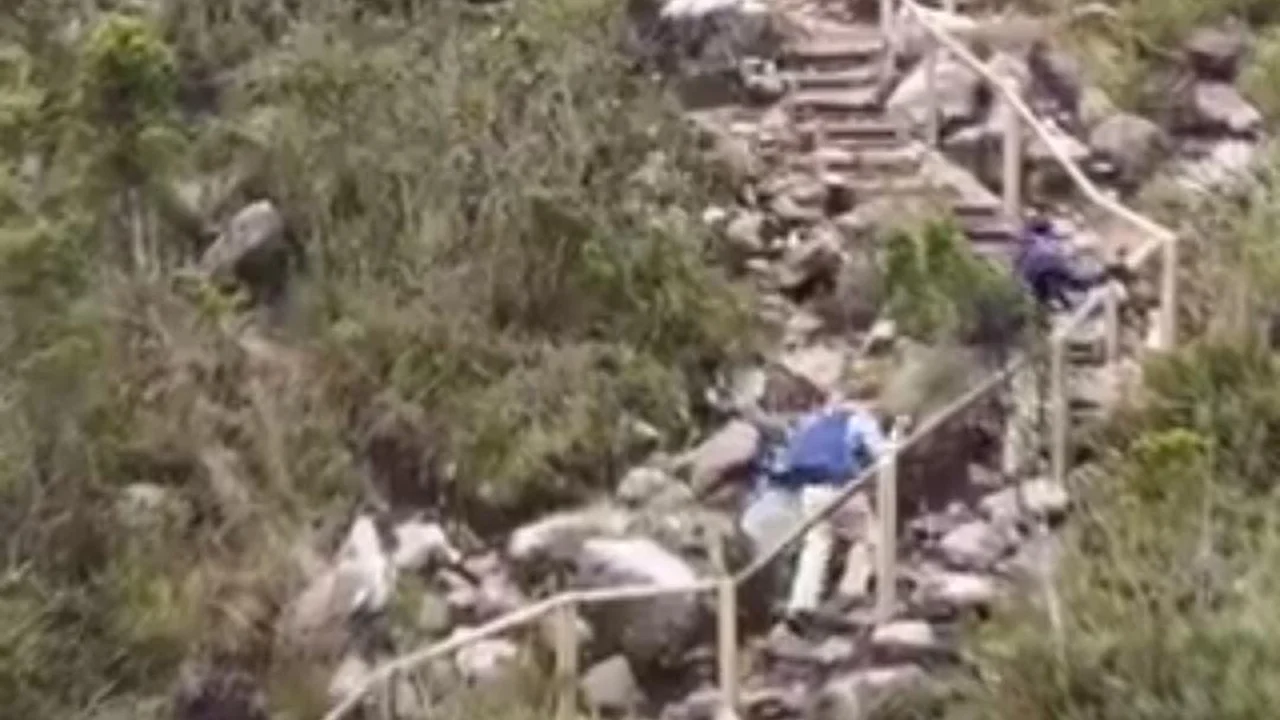 Sendero del Santuario de Fauna y Flora Iguaque, en Boyacá
