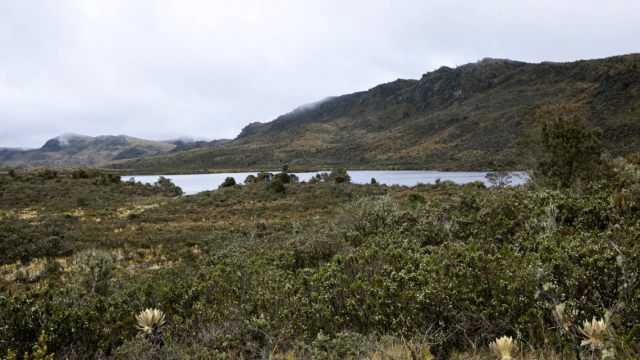 Paisaje de páramo andino con laguna y montañas en la región de Bogotá