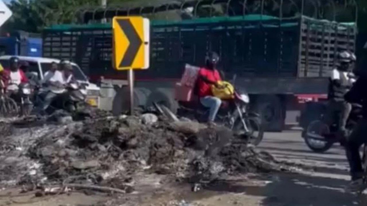 Indignación en Santa Marta: hallan siete perros calcinados en la vía Alterna