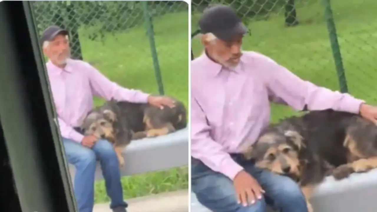 Le negaron subir a un bus por viajar con su perro en El Santuario: Transoriente reconoció el error 1 Adulto mayor con su perro esperando un bus de Transoriente en El Santuario, Antioquia