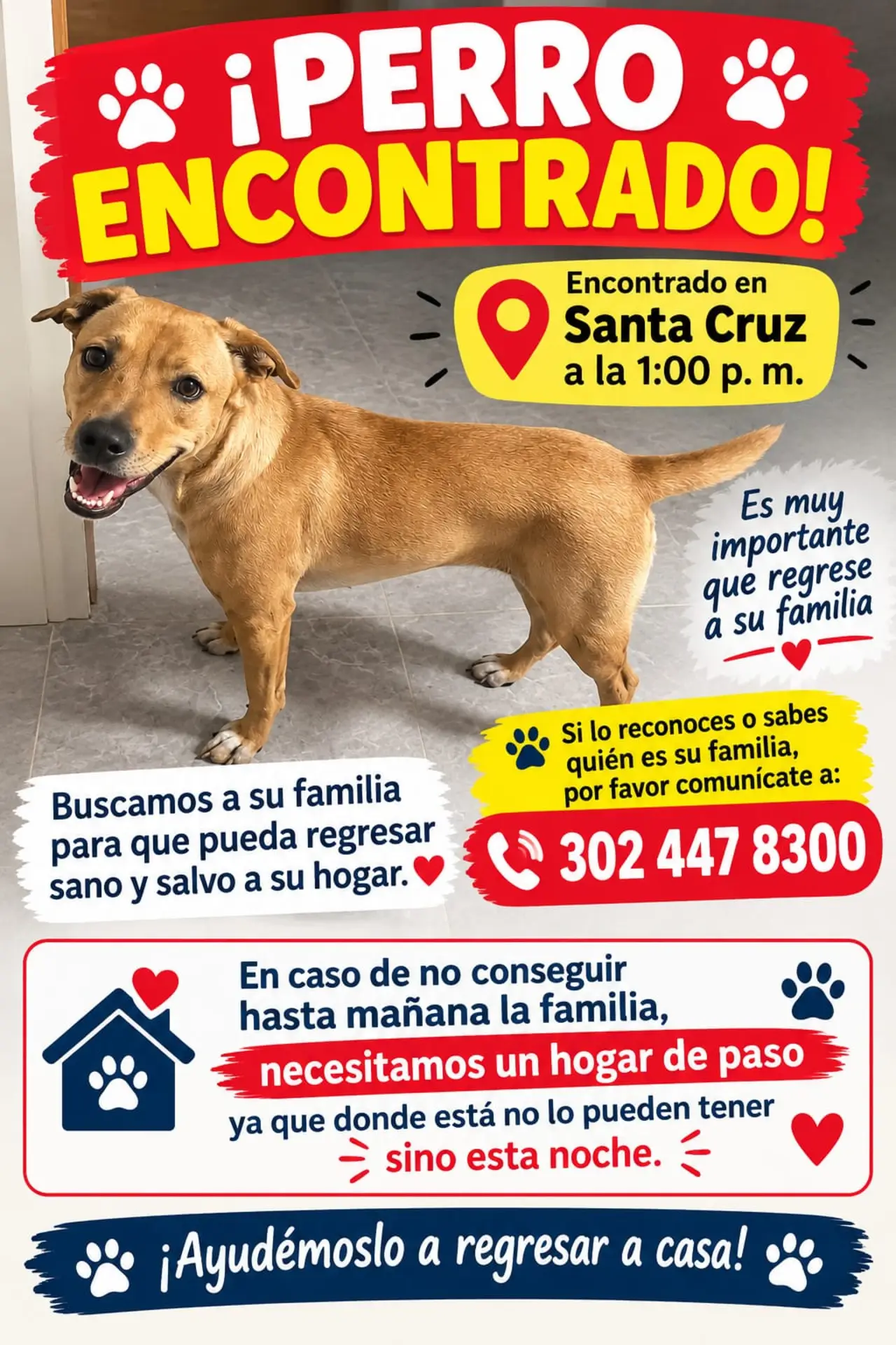 ¡Ayudémoslo a volver a casa! Buscan a la familia de un perro encontrado en el barrio Santa Cruz de Medellín 2 Cartel del perro encontrado en el barrio Santa Cruz de Medellín