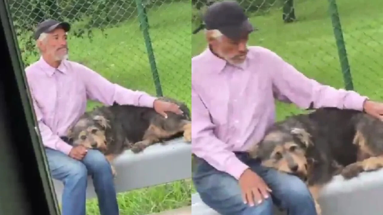 Transoriente encontró al adulto mayor al que le negaron subir al bus con su perrita: le pidió disculpas 3 José Luis Villa y su perrita Luna en la parada de bus de El Santuario