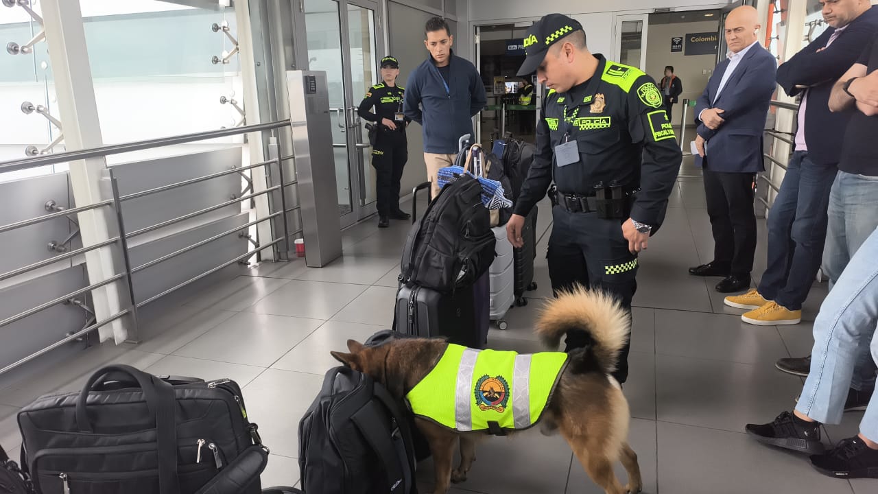 El olfato no falla: divisas por cerca de $424 millones retenidas en el aeropuerto El Dorado 2 Binomio canino de la Policía Fiscal y Aduanera inspecciona equipaje en el aeropuerto El Dorado