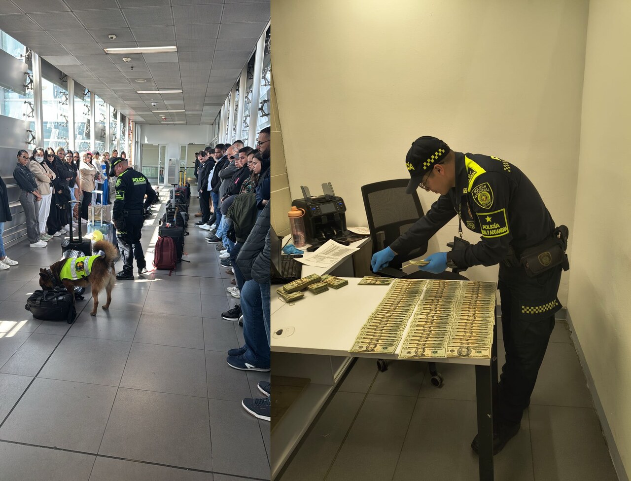 El olfato no falla: divisas por cerca de $424 millones retenidas en el aeropuerto El Dorado 3 Conteo de divisas retenidas en el aeropuerto El Dorado