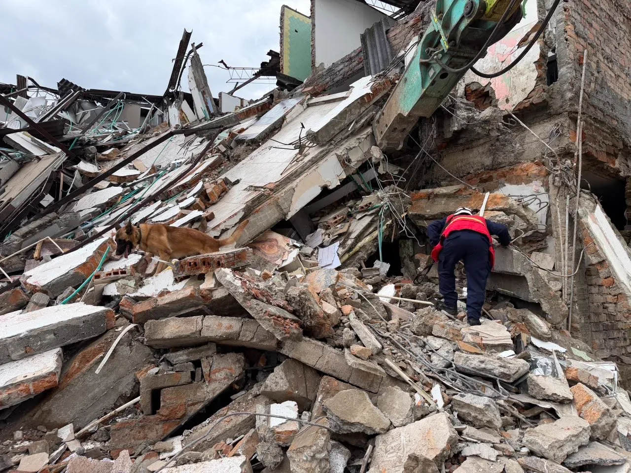 Colapsó edificio en proceso de demolición en el centro de Pereira: buscan a dos personas entre los escombros 2 Búsqueda entre los escombros de la edificación que colapsó en el centro de Pereira