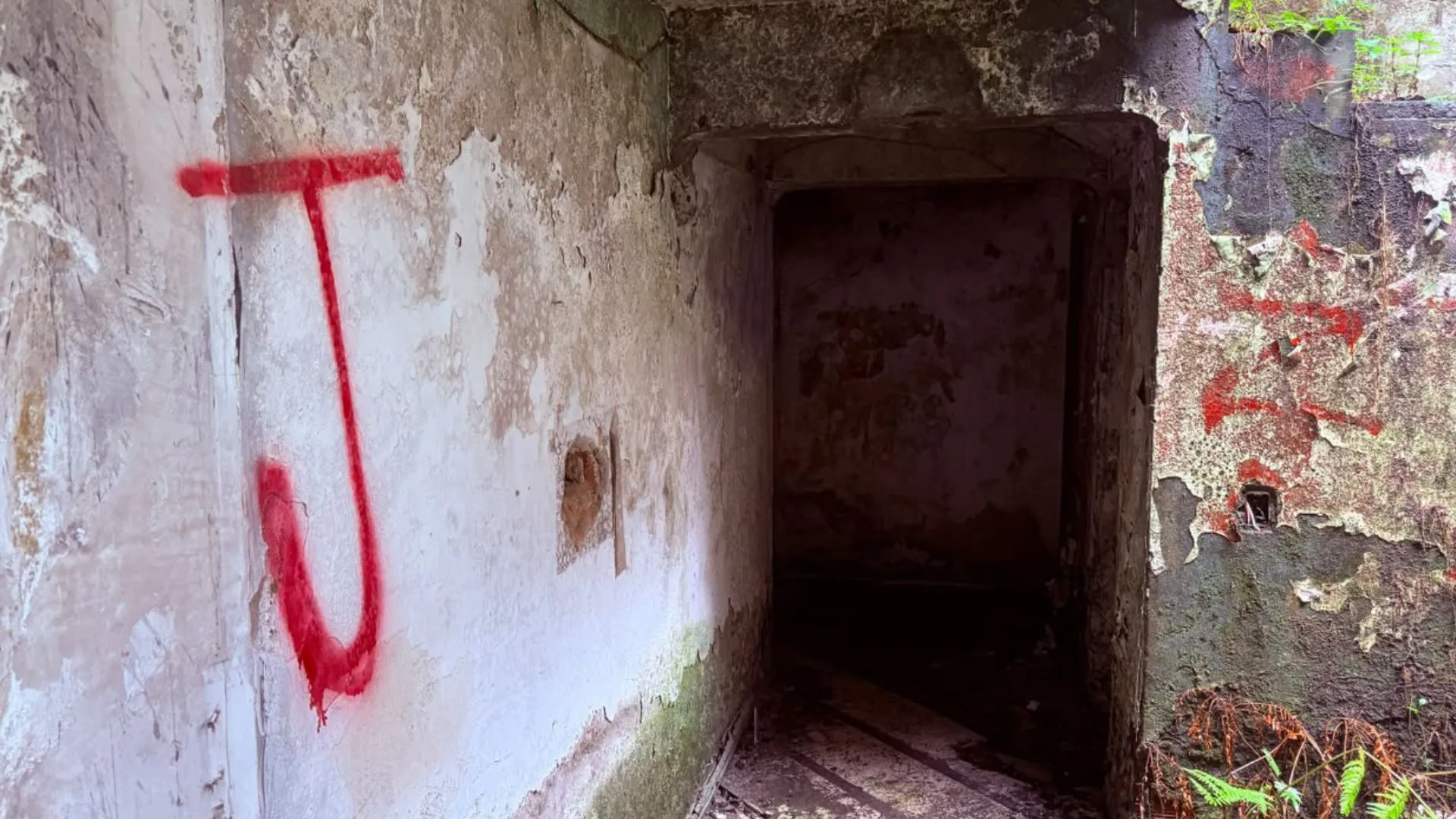 Demuelen casa ligada a Pablo Escobar: la habrían usado para consumir drogas y hacer rituales satánicos 4 Demuelen casa ligada a Pablo Escobar: la habrían usado para consumir drogas y hacer rituales satánicos