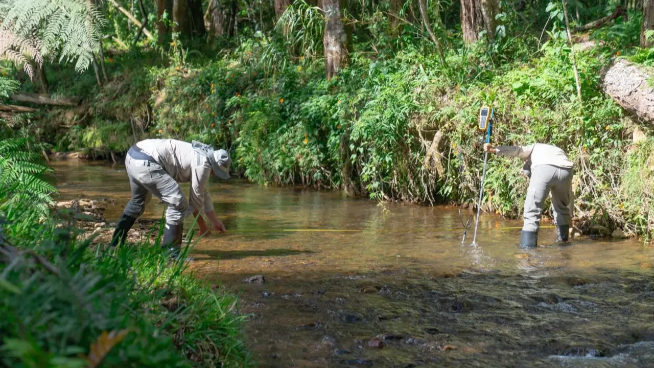 ¡EPM prende las alarmas! Tres sistemas de agua mejoraron su ahorro, pero siguen lejos de la meta 4 ¡EPM prende las alarmas! Tres sistemas de agua mejoraron su ahorro, pero siguen lejos de la meta