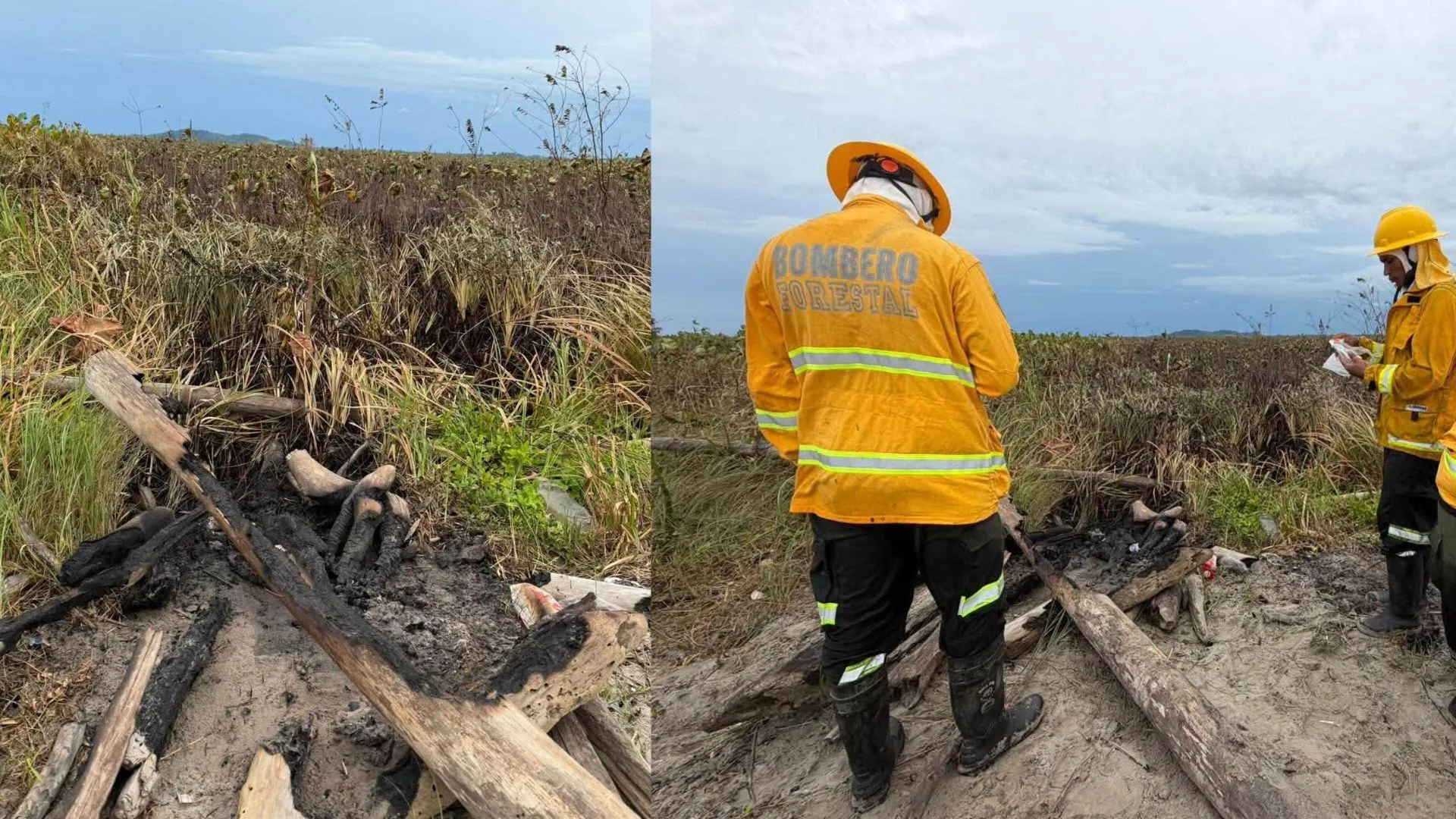 ¡Una fogata habría desatado la emergencia! Incendio arrasó más de 50 hectáreas en Necoclí