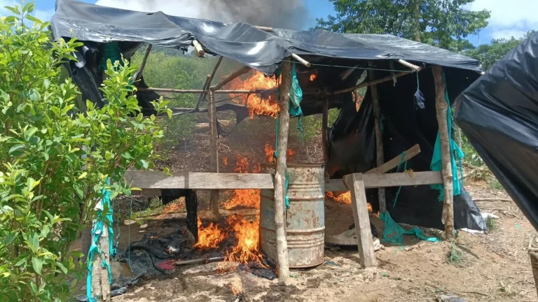 Tres laboratorios de coca quedaron destruidos en Amalfi: Golpe al Clan del Golfo supera los $500 millones mensuales