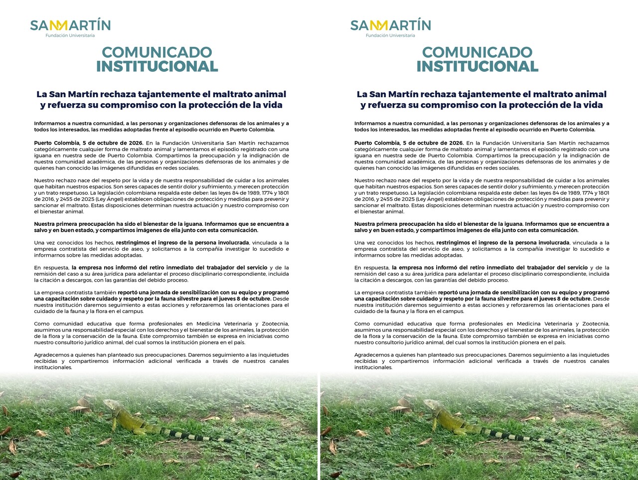 ¡Libres y cuidadas! Universidad San Martín responde a polémica por iguanas y anuncia despido de contratista 3 comunicados universidad san martin