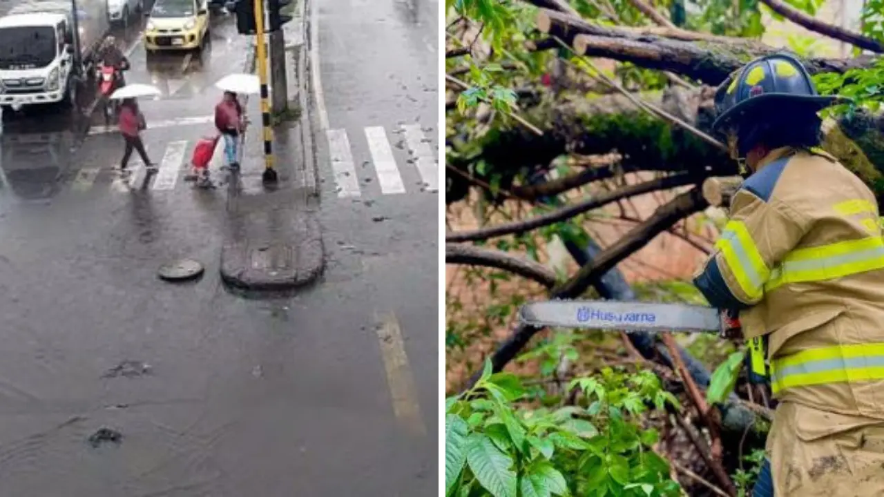 ¡Bogotá pasada por agua! Fuertes lluvias inundan vías, tumban árboles y afectan viviendas