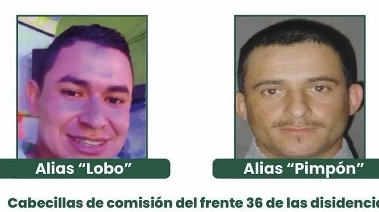 lobo pimpon valdivia