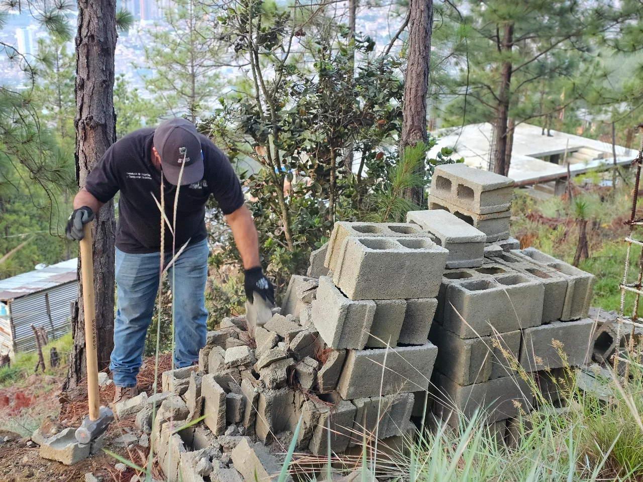 ¡Les cayó la Alcaldía! Demolieron 15 viviendas que construían ilegalmente en el Cerro Quitasol 3 Funcionarios retirando estructuras de construcciones ilegales en el Cerro Quitasol de Bello