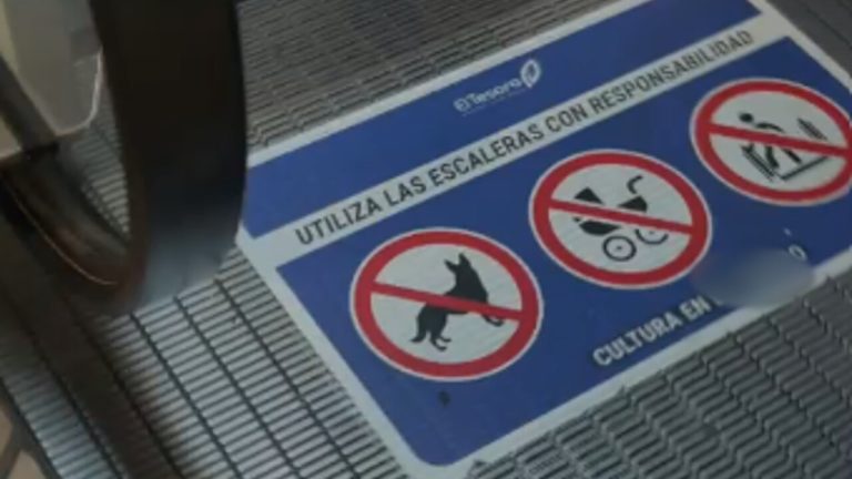 ¡Un riesgo innecesario! Video expone la grave imprudencia de dueños con su perro en escaleras eléctricas 13 perros en el tesoro